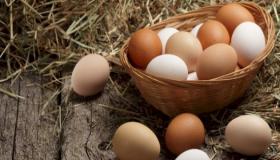 Какво е толкувањето на сонот за јајца за самохрана жена според Ибн Сирин?