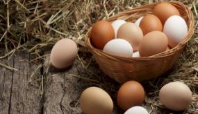 What is the interpretation of a dream about eggs for a single woman according to Ibn Sirin?