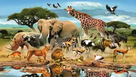 الحيوانات التي تعيش في الغابه وتعريف الفرق بين حيوانات الغابة وحيوانات الصحراء