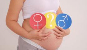 كيف أعرف جنسية الجنين؟ وطريقة معرفة نوع الجنين من الطفل السابق