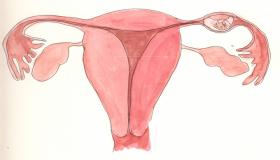 أعراض الحمل خارج الرحم الأكيدة وما الفرق بين الحمل الطبيعي والحمل خارج الرحم؟