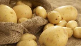 ما هو تفسير حلم البطاطس في المنام لابن سيرين ؟
