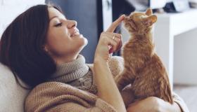 القطط والحوامل وكيفية الوقاية من داء القطط للحامل