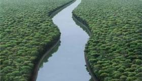 Conozca más sobre la interpretación de ver un río en un sueño por Ibn Sirin