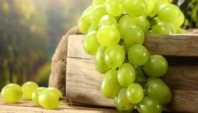 What is the interpretation of a dream about green grapes for Ibn Sirin?