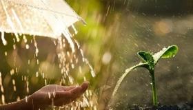 Nauči tumačenje sna o jakoj kiši prema Ibn Sirinu