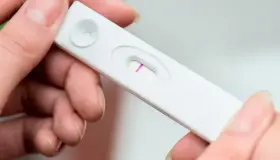 妊娠は排卵後いつ、何日後に現れますか