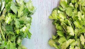 The difference between coriander and parsley
